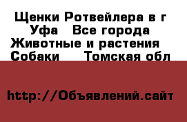 Щенки Ротвейлера в г.Уфа - Все города Животные и растения » Собаки   . Томская обл.